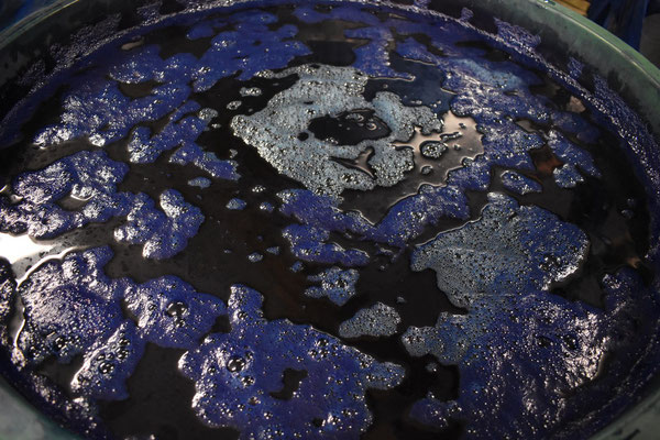 Château des Plantes Cambounet-sur-le-sor, Pastel de la Serre, Sirius, pastel, teinture au Pastel, Pays de Cocagne