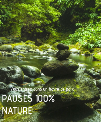 Promenade en forêt, point de vue, Statue Saint-Stapin en Montagne Noire, Chapelle du Baylou, pique-niquer au bord d'un lac, pêche, que faire à Puylaurens, que faire à Dourgne, pause nature, balade, escoussens