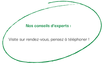  que faire à Puylaurens, que faire à Dourgne, château des plantes, isatis tinctoria, pastel, pastelprod, pastel de la serre, visite guidée, teinture au pastel, bleu pastel, or bleu, pays de cocagne, office de tourisme