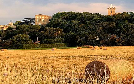 Mairie de Viviers-les-Montagnes en Montagne Noire, Terres d'Autan, Le Pays de Cocagne, randonnée Dourgne et Puylaurens, Office de tourisme