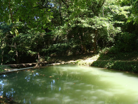 Pique-nique aux Bassins de Dourgne en Montagne Noire, que faire à Puylaurens, que faire à Dourgne