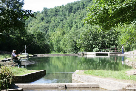 Pêche aux Piscines de Dourgne en Montagne Noire, Sarda, que faire à Puylaurens, que faire à Dourgne