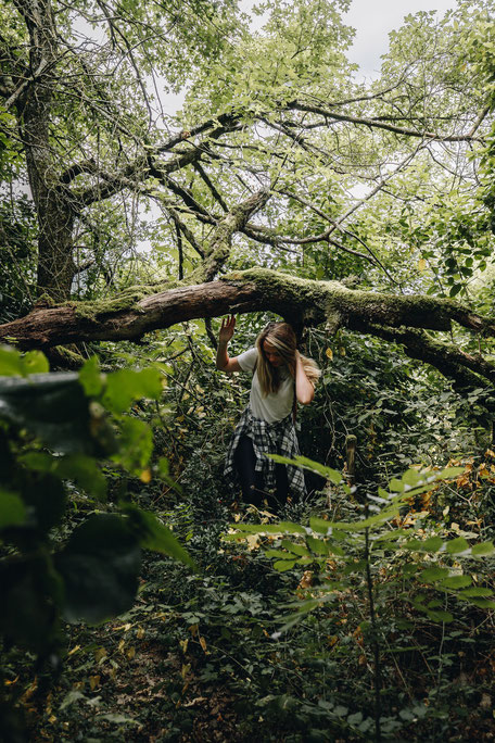 Tarn Tourisme, Balade en forêt à Escoussens en Montagne Noire, Tarn Tourisme, que faire à Puylaurens, que faire à Dourgne