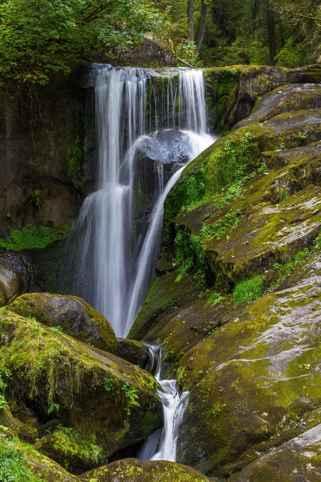 Balade en forêt à Escoussens en Montagne Noire aux Cascades du Mouscaillou, que faire à Puylaurens, que faire à Dourgne