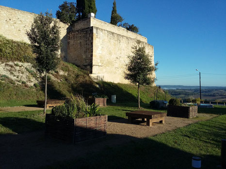 Pique-nique champêtre au jardin pastelier de Puylaurens en Pays de Cocagne, que faire à Puylaurens, que faire à Dourgne, office de tourisme