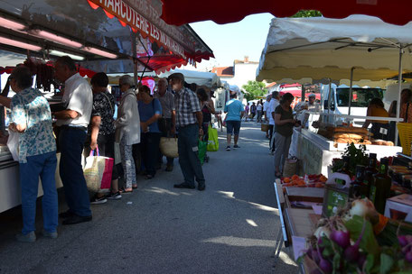 Marché de Puylaurens, producteurs locaux, Pays de Cocagne, que voir à Puylaurens, que voir à Dourgne, terroir