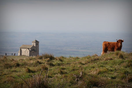 Credit MJC Dourgne, chapelle de la Capelette de Dourgne, randonnée Montagne Noire, rando, que faire à Dourgne, randonner à 1h de Toulouse, visorando