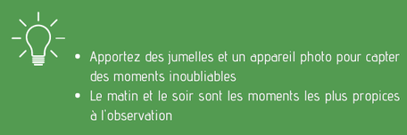 Montagne Noire, Terres d'Autan, Le Pays de Cocagne, balade Dourgne et Puylaurens, Office de tourisme que faire en Pays de Cocagne ?