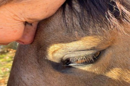 Ateliers aromathérapie et d'herboristerie chez Divine Alchemille en Pays de Cocagne, que voir à Puylaurens, que voir à Dourgne