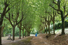 Camping Dourgne, Camping en Sor Agout, emplacement tente Dourgne, camping Montagne Noire