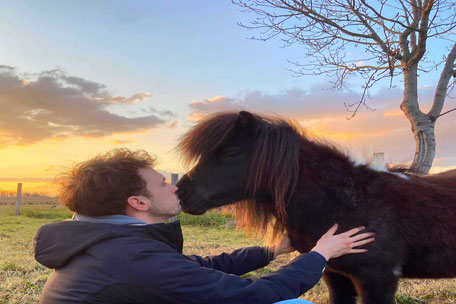 Laurence Vincent, médiation animale, médiation équine, Tarn, Puylaurens, tourisme handicap, en famille, adolescents en difficulté, libérer ses émotions, se reconnecter, le pays de cocagne, cheval à Puylaurens