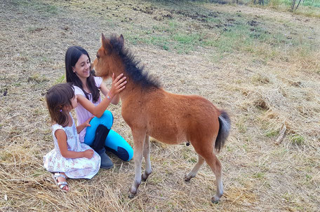 Credit photo Caroline Espinosa, Balade à cheval en Pays de Cocagne, Poney Club, La Salamandre, Terres d'Autan-Montagne Noire, Office de Tourisme, campagne lauragaise, randonnée équestre,  que faire à Puylaurens, que faire à Dourgne, enfants, en famille