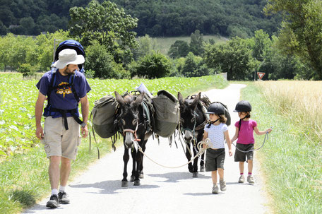 Balade à cheval en Pays de Cocagne, balade à dos d'ânes, randonnée équestre, Ferme d'En Gout, Terres d'Autan-Montagne Noire, Office de Tourisme, que faire à Dourgne, que voir à Puylaurens
