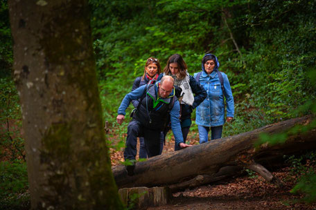 Credit Nicolas Dreux, accompagnateur en Montagne Noire, guide randonnée, randonnée en famille proche de Toulouse, légendes, Dourgne, Escoussens, Viviers les Montagnes, Saint-Affrique les Montagnes, Dourgne
