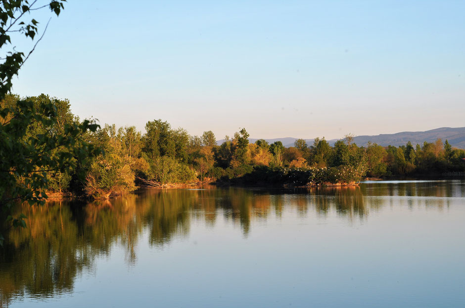 Pierre Rigou, réserve naturelle régionale, réserve ornithologique, étangs, Saix, Cambounet-sur-le-Sor, oiseaux, LPO Tarn, que faire à Puylaurens, que faire à Dourgne