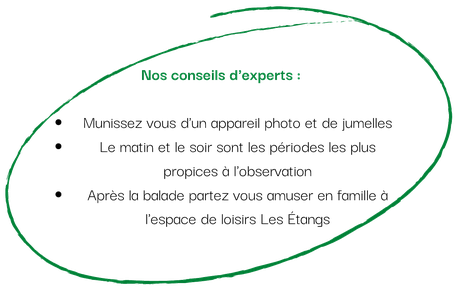 Tarn Tourisme, Réserve ornithologique de Cambounet-sur-le-Sor, Réserve Naturelle Régionale, Lpo Tarn, que faire à Puylaurens, que faire à Dourgne, nature, Tarn, Occitanie, base de loisirs des étangs, dicosa