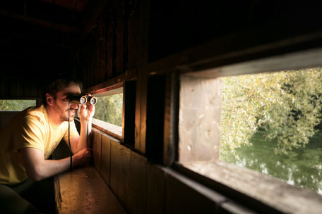 Tarn Tourisme, Réserve ornithologique de Cambounet-sur-le-Sor, Réserve Naturelle Régionale, Lpo Tarn, que faire à Puylaurens, que faire à Dourgne, réserve naturelle régionale, nature, Tarn, Occitanie