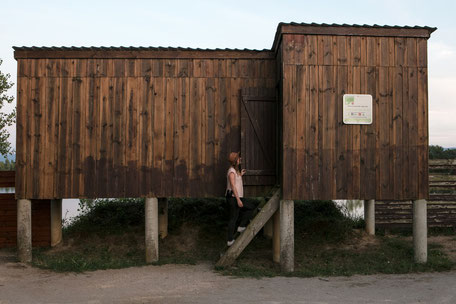Tarn Tourisme, Réserve ornithologique de Cambounet-sur-le-Sor, Réserve Naturelle Régionale, Lpo Tarn, que faire à Puylaurens, que faire à Dourgne, réserve naturelle régionale, nature, Tarn, Occitanie, hérons, oiseaux
